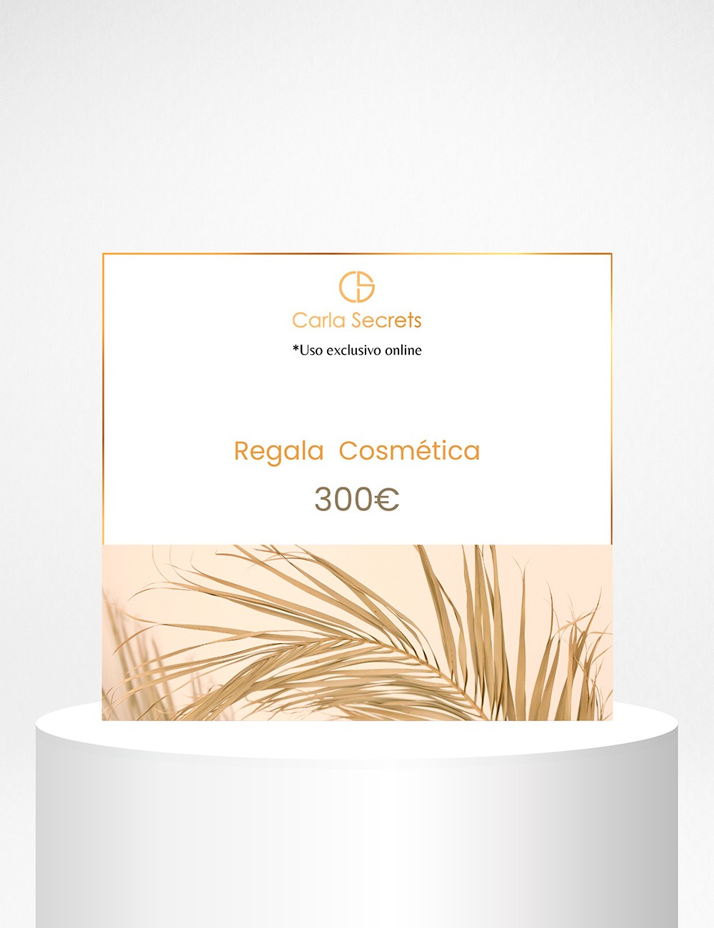 Tarjeta Regalo Online 300 Dólares | Carla Secrets